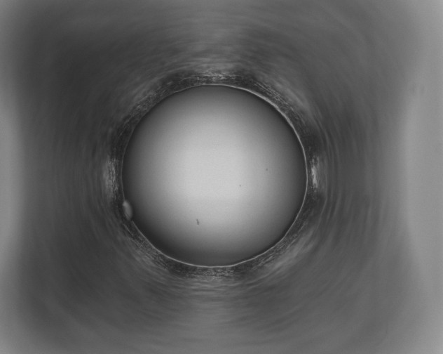 X0000110861347200906251200