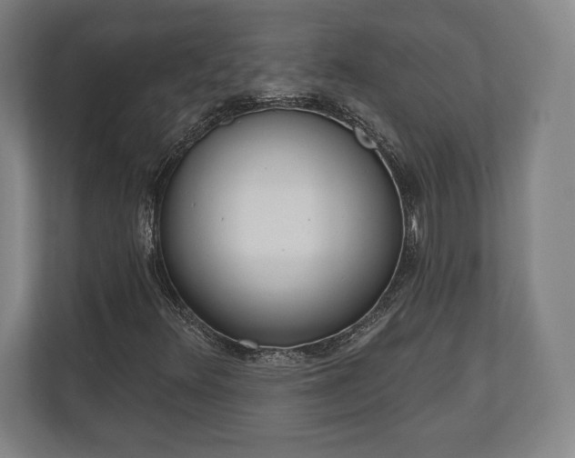 X0000110861348200906251200