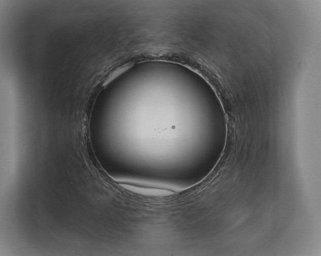 X0000110861349200906251200