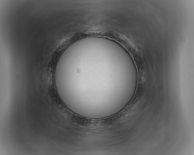 X0000110861350200906251200