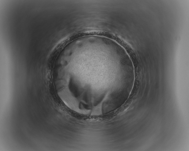 X0000110861351200906251200