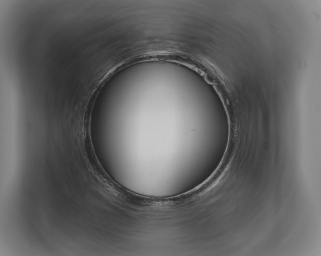 X0000110861353200906251200