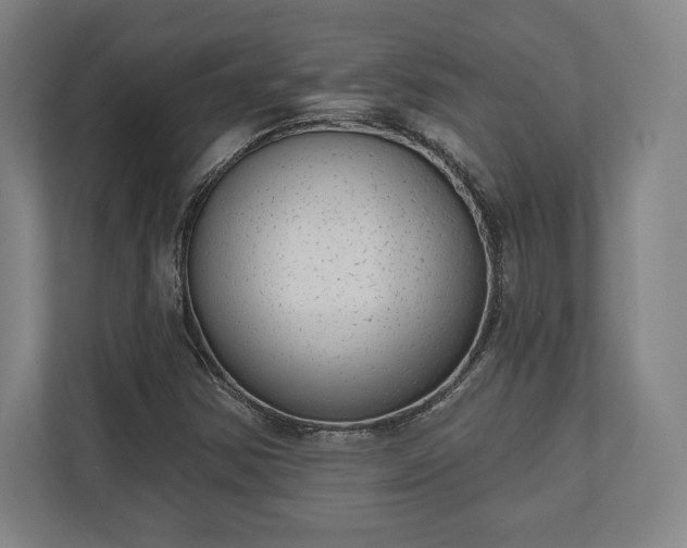 X0000110861354200906251200