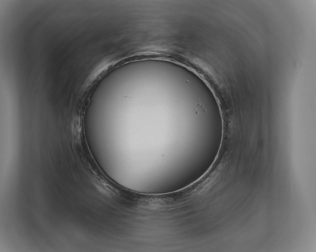 X0000110861355200906251200