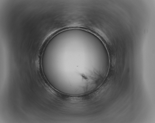 X0000110861356200906251200