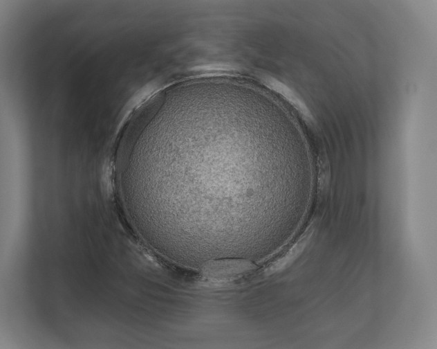 X0000110861357200906251200