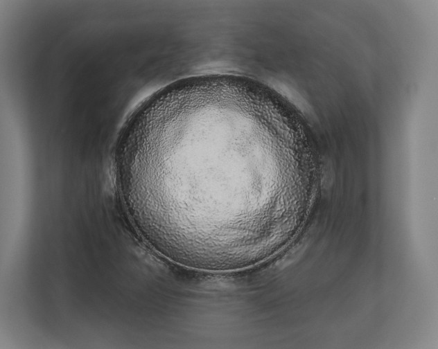 X0000110861358200906251200