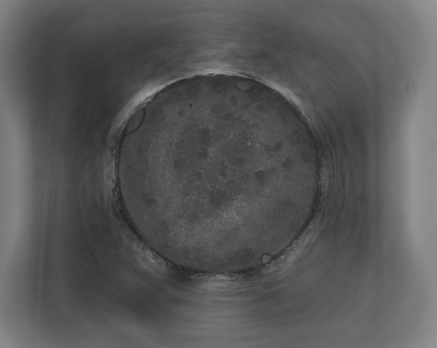 X0000110861359200906251200