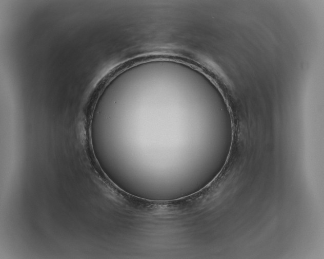 X0000110861360200906251200