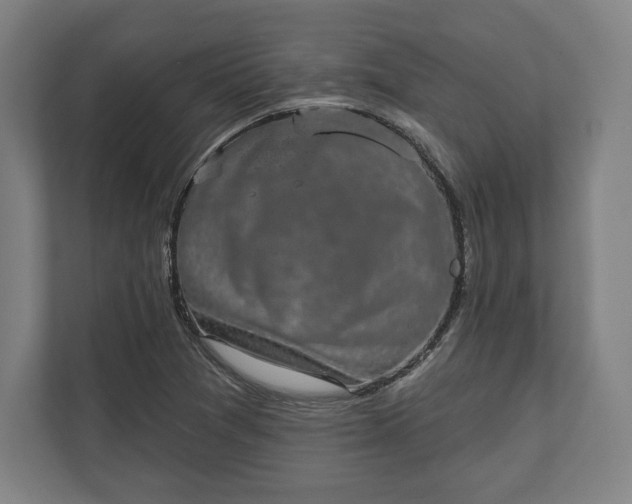 X0000110861361200906251200