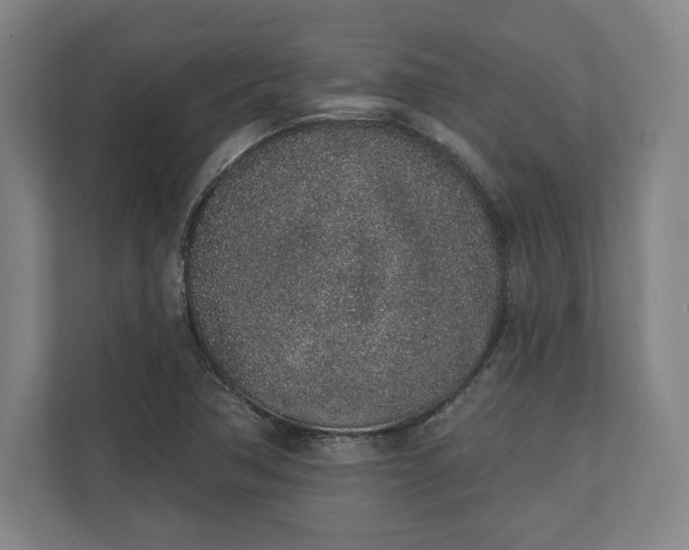 X0000110861362200906251200