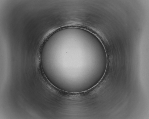 X0000110861363200906251200