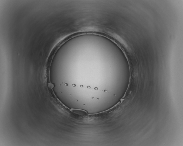 X0000110861364200906251200