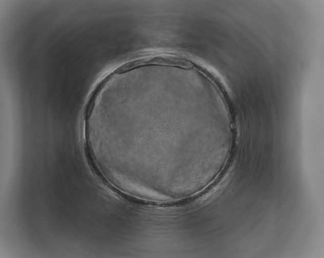 X0000110861365200906251200