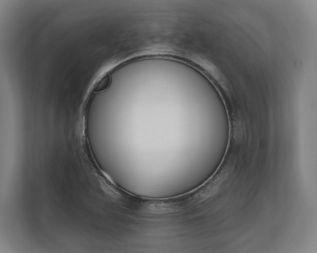 X0000110861366200906251200