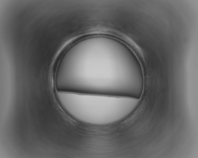 X0000110861368200906251200