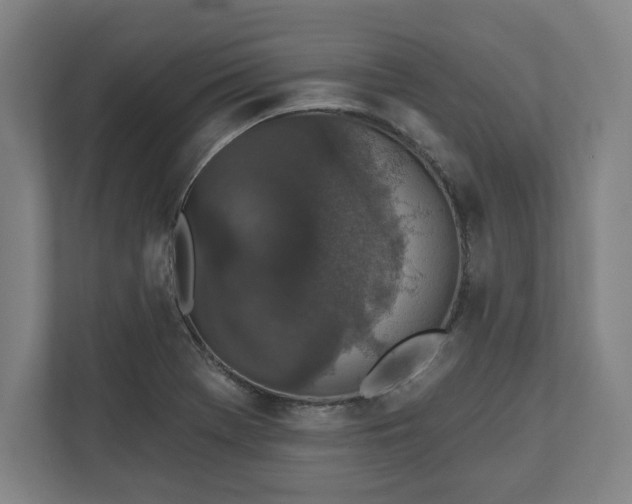 X0000110861369200906251200