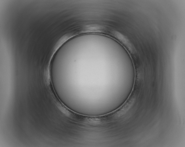 X0000110861370200906251200