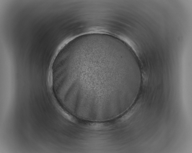 X0000110861371200906251200