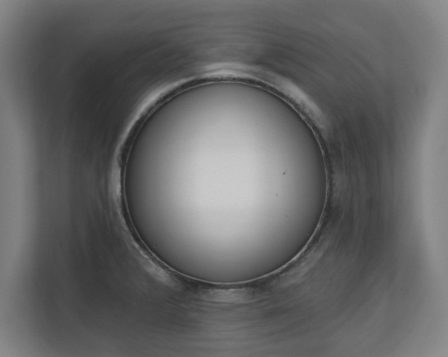 X0000110861376200906251200