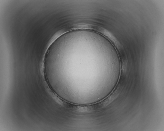 X0000110861378200906251200