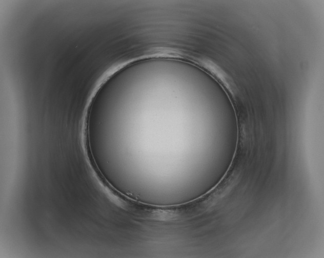 X0000110861379200906251200