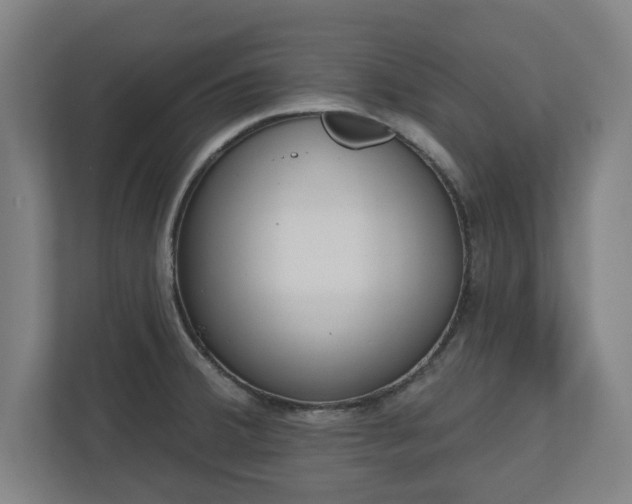 X0000110861380200906251200