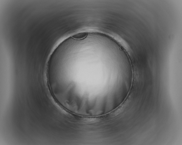 X0000110861382200906251200