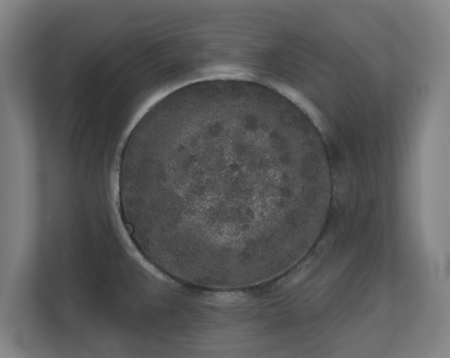 X0000110861383200906251200