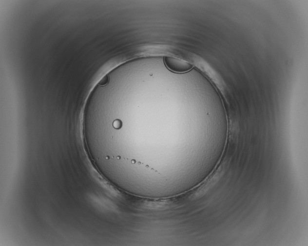 X0000110861386200906251159