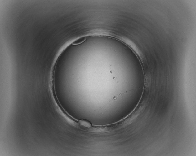 X0000110861387200906251159