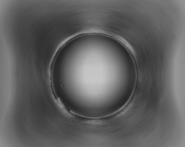 X0000110861388200906251159