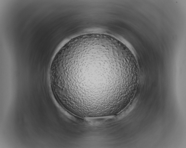 X0000110861389200906251159