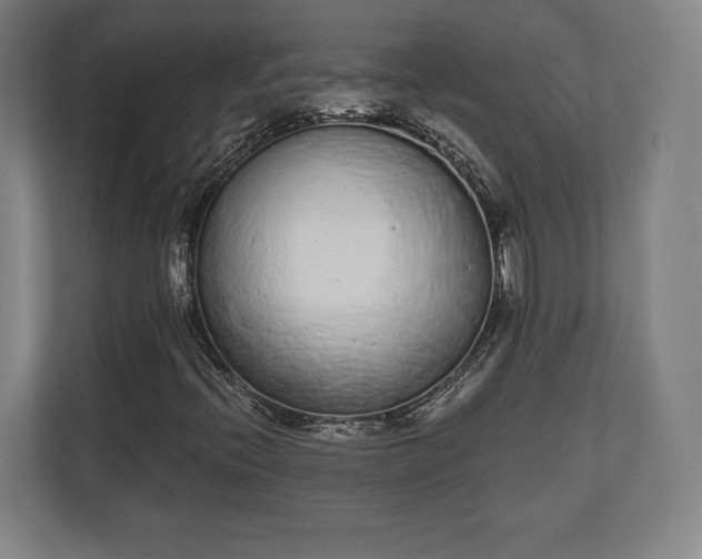 X0000110861396200906251159