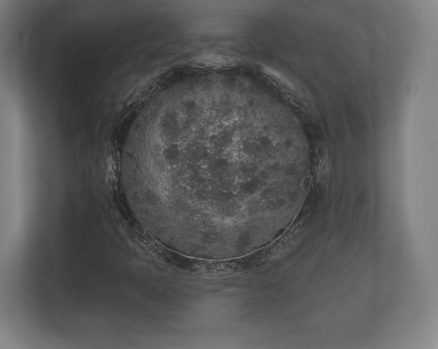 X0000110861397200906251159