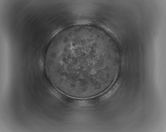 X0000110861401200906251159