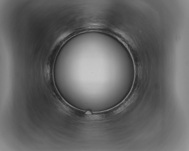 X0000110861402200906251159