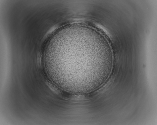 X0000110861403200906251159