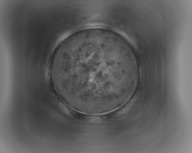 X0000110861405200906251159