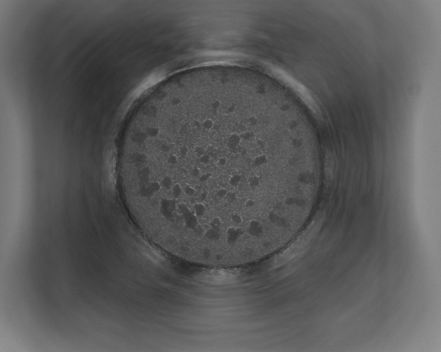 X0000110861411200906251159