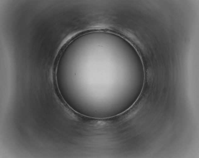 X0000110861412200906251159