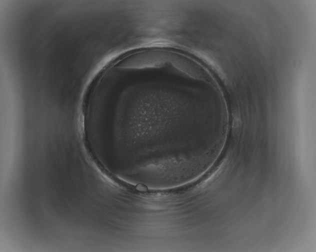 X0000110861414200906251159