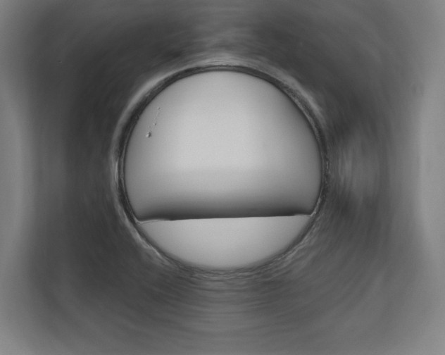 X0000110861416200906251159