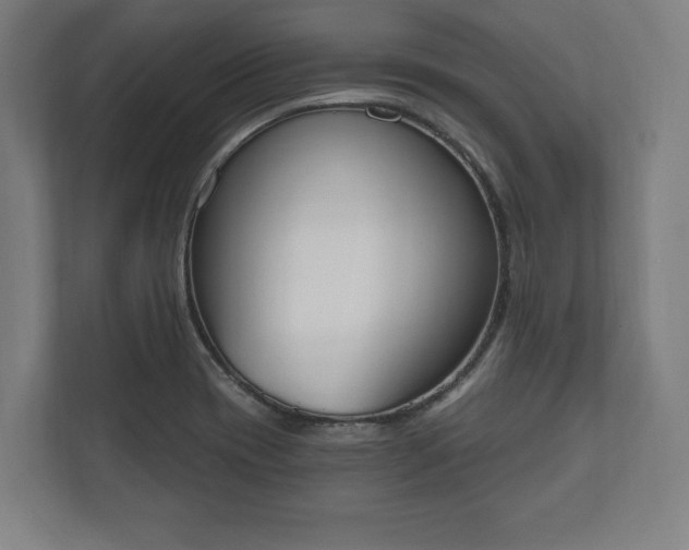 X0000110861417200906251159