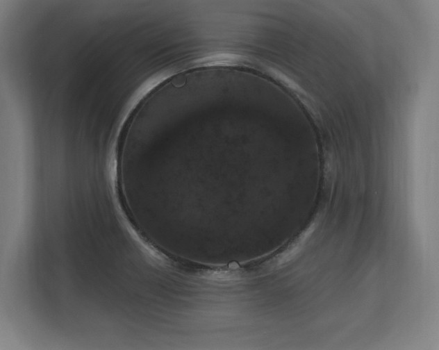 X0000110861418200906251159