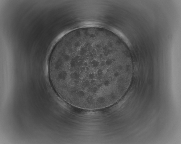 X0000110861419200906251159