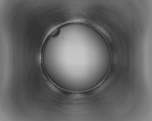 X0000110861420200906251159