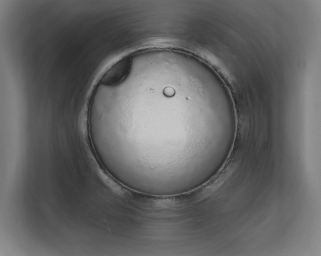 X0000110861421200906251159