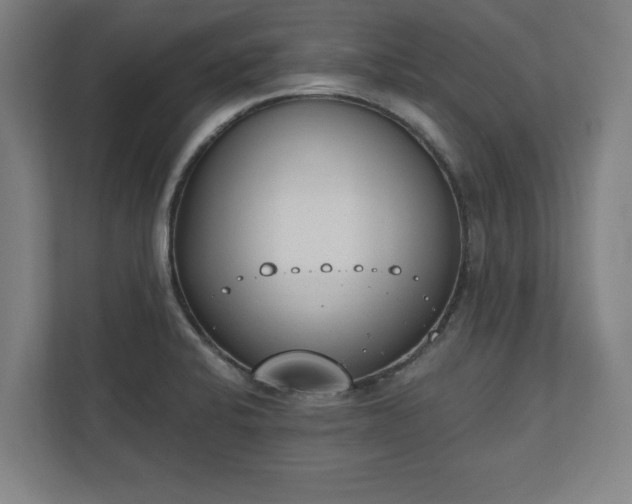 X0000110861424200906251159