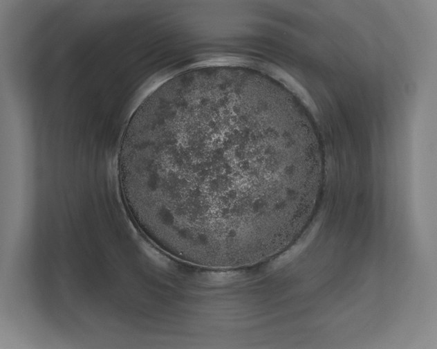 X0000110861425200906251159